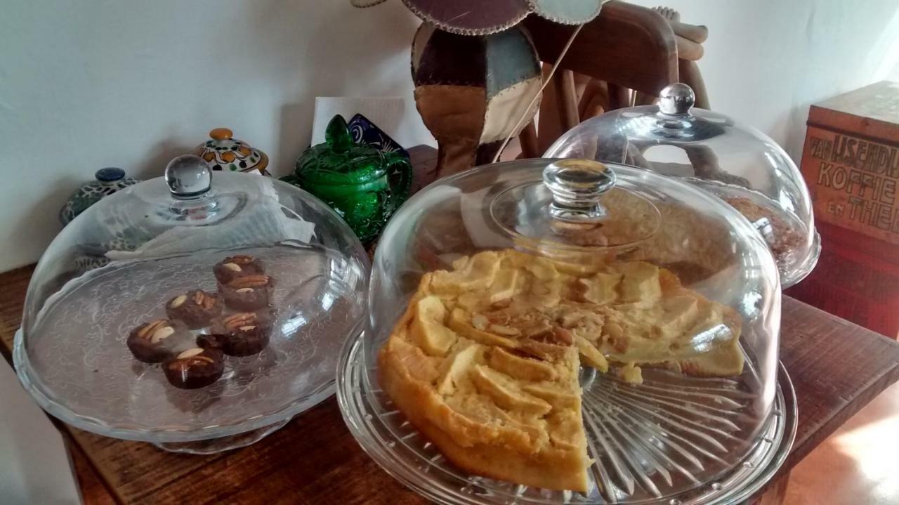 Hostal El Cascabel Cholula Ngoại thất bức ảnh