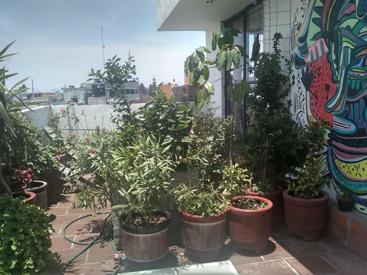 Hostal El Cascabel Cholula Ngoại thất bức ảnh